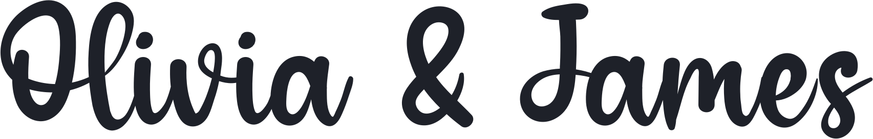 Olivia & James in Amellinda Weddings calligraphy for a wedding invitation